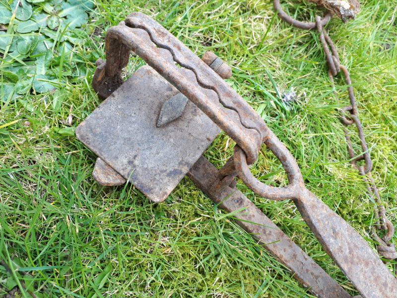 Animal Trap for sale in UK 33 secondhand Animal Traps