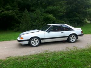 Fox Body Wheels >> Fox Body Wheels Kijiji In Ontario Buy Sell Save With Fox Body Wheels >> Fox Body Wheels Kijiji In Ontario Buy Sell Save With