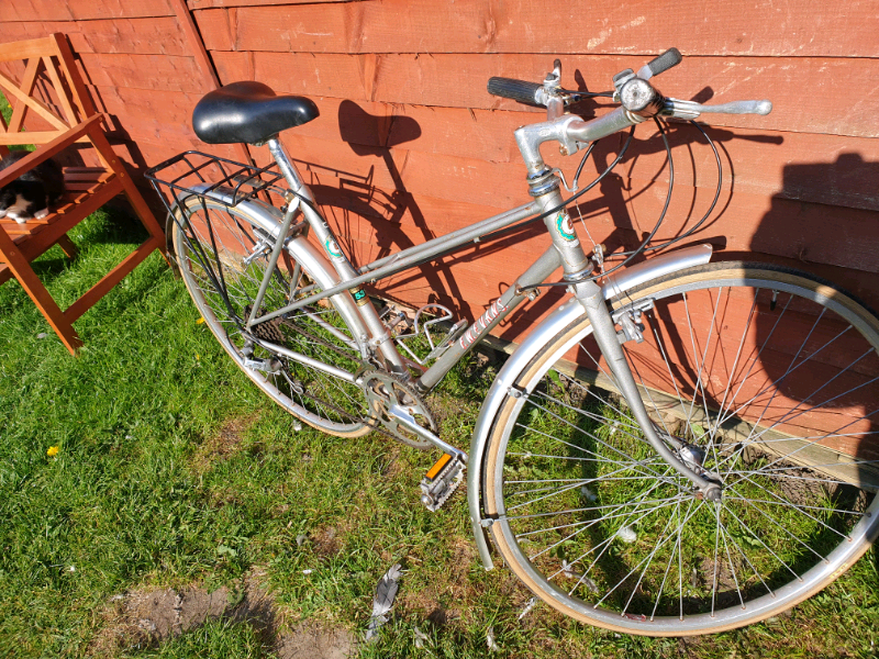 evans bicycle value