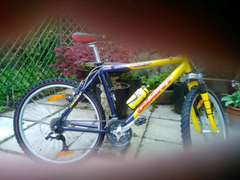 giant bikes scotland