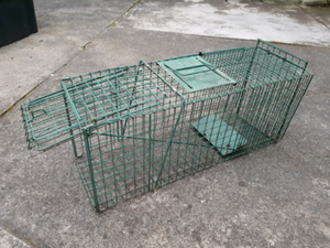 possum 23cm 65cm 28cm