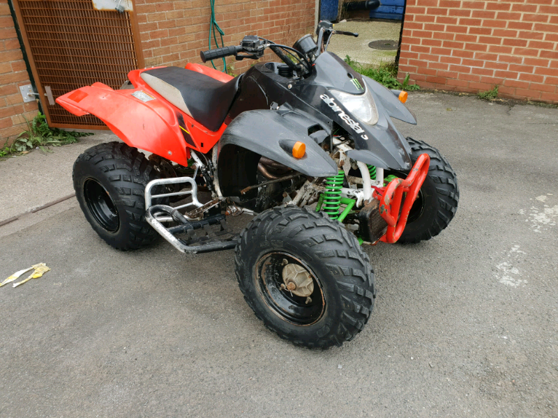 quadzilla 250cc