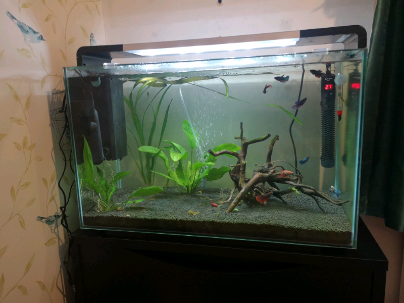 Superfish Home 110 Aquarium in Black in Bath, Somerset Gumtree
