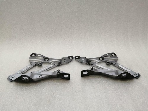 TESLA MODEL X P100D Bonnet Hinge set 1058041-00-B Haubenscharnier satz