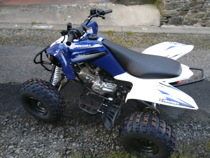 Quads for sale in Pontypool, Torfaen Gumtree