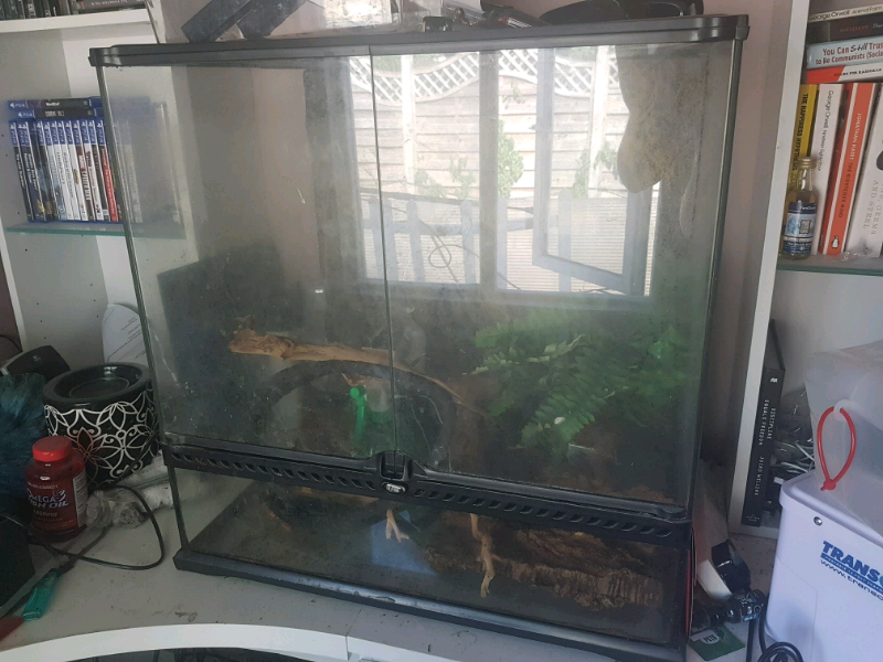 ExoTerra Terrarium reptile starter kit in Catford, London Gumtree