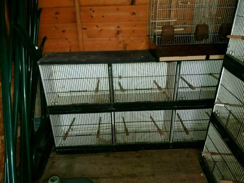 Canary Finch & Budgie Breeding Cages | in York, North Yorkshire | Gumtree