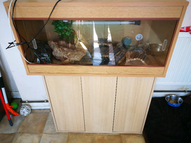 Vivarium for sale in Birchgrove, Swansea Gumtree