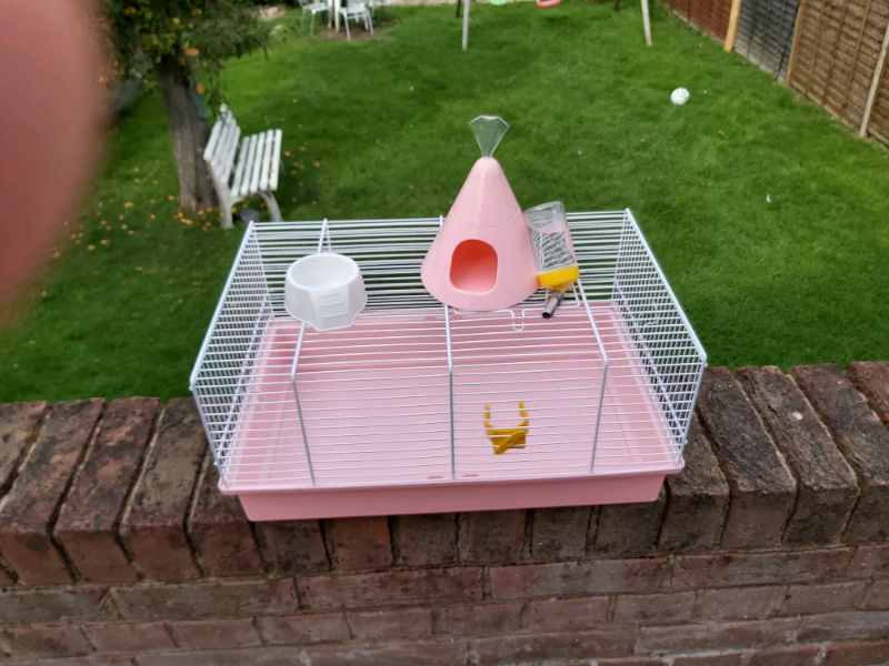 Princess Style Hamster cage in Leicester, Leicestershire Gumtree