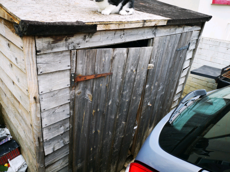 bike shed in Paignton, Devon Gumtree