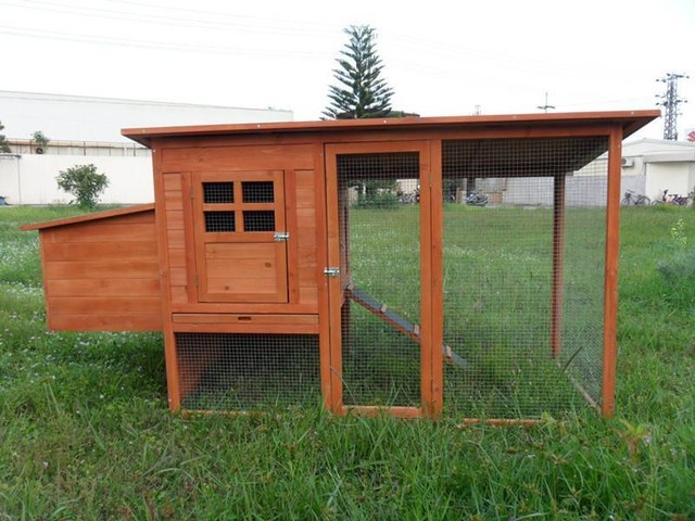 Chicken coops gumtree 
