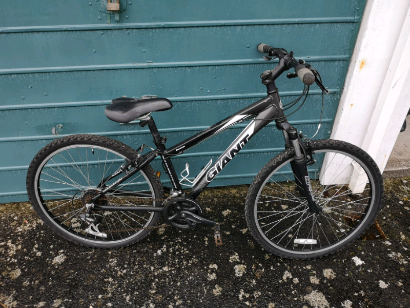 giant mountain bike used