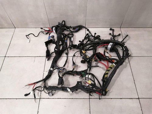 TESLA MODEL 3 RWD Front Body wiring 1567964-08-B Kabelbaum Vorne