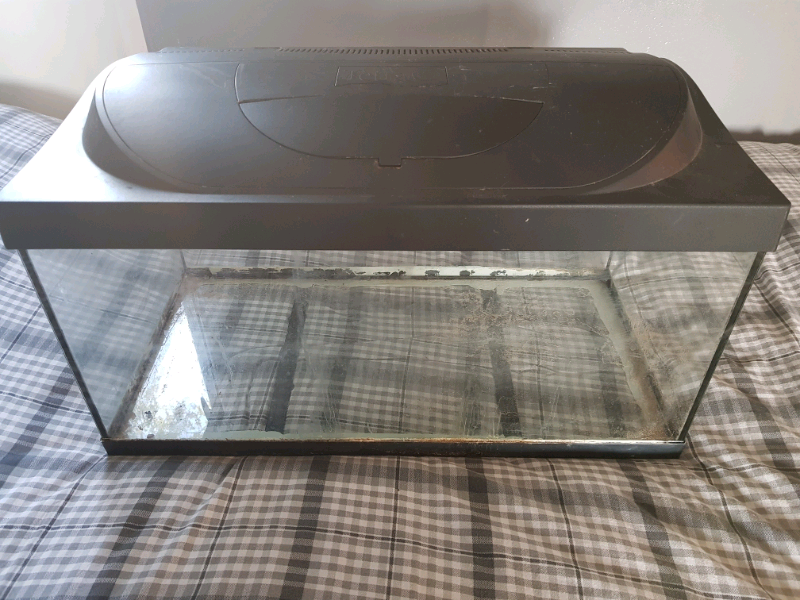 Tetra Aquarium in Telford, Shropshire Gumtree