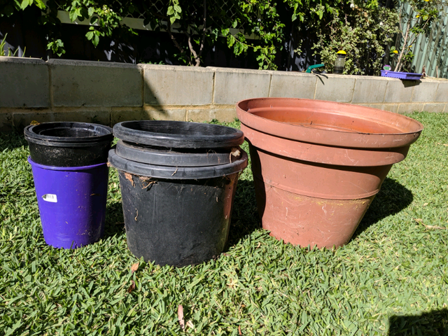 free plant pots near me