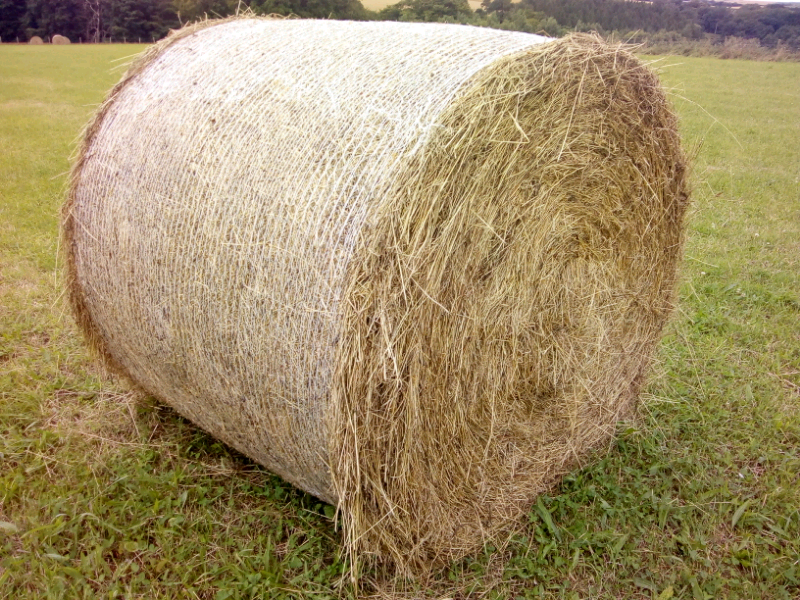 18 Round hay bales 4x4 ft ideal for horses in Turriff, Aberdeenshire