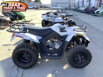 2018 Arctic Cat® Alterra 150 White