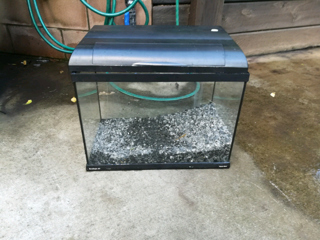 Fish tank for sale Fish Gumtree Australia Caloundra