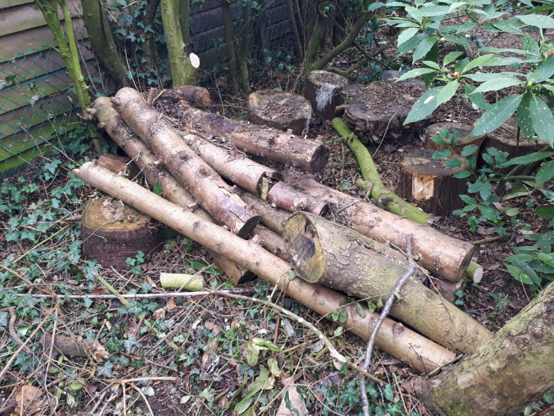 Seasoned and unseasoned fire wood. in Norwich, Norfolk Gumtree