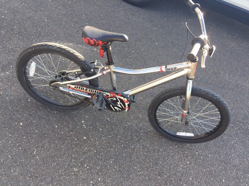 Boys Raleigh Bike 4-8 Year Old Pick Up Near Belmar or Edison NJ