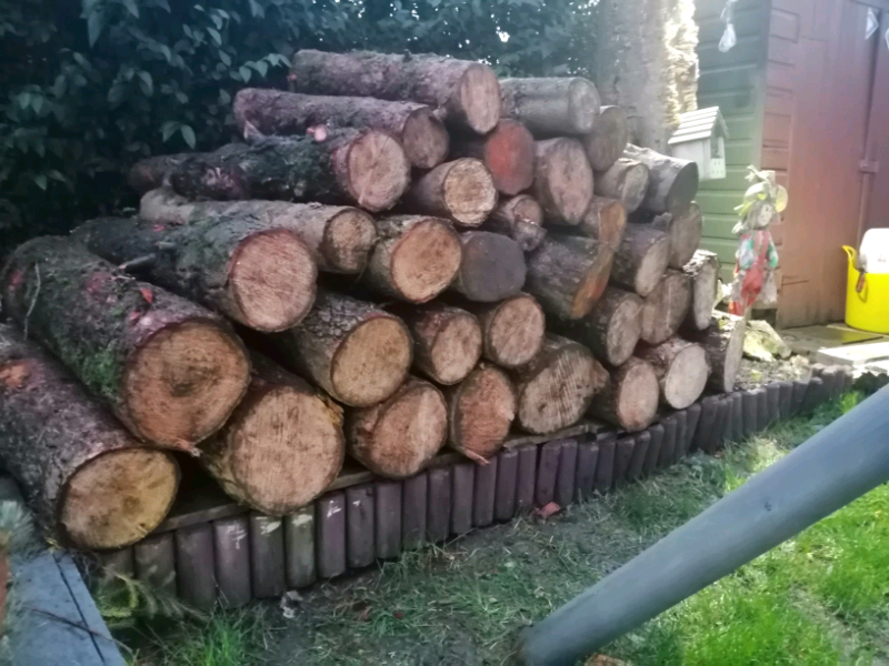 Firewood, logs and kindling in Kirkcaldy, Fife Gumtree