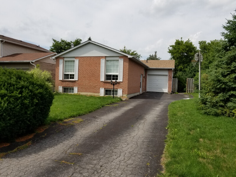 Apartment basement-Newmarket Ontario | Long Term Rentals ...