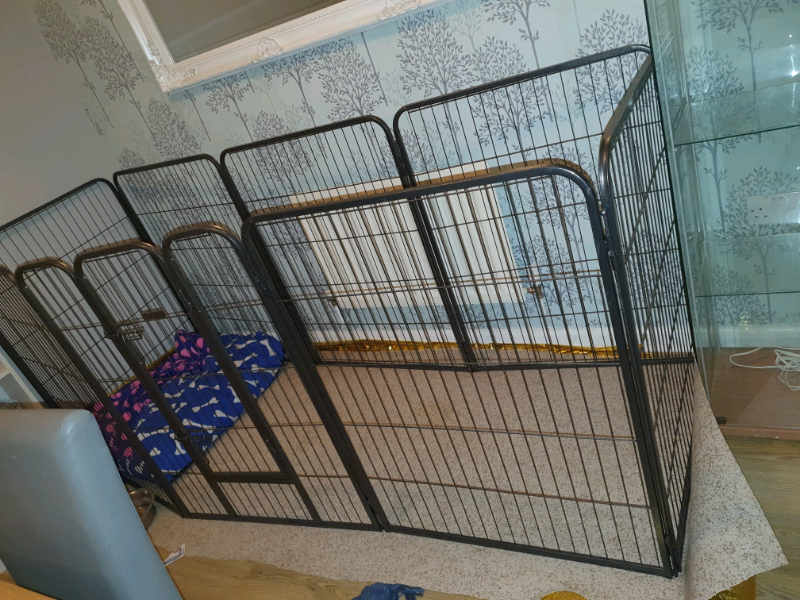 Dog Run Puppy Pen In London Colney Hertfordshire Gumtree