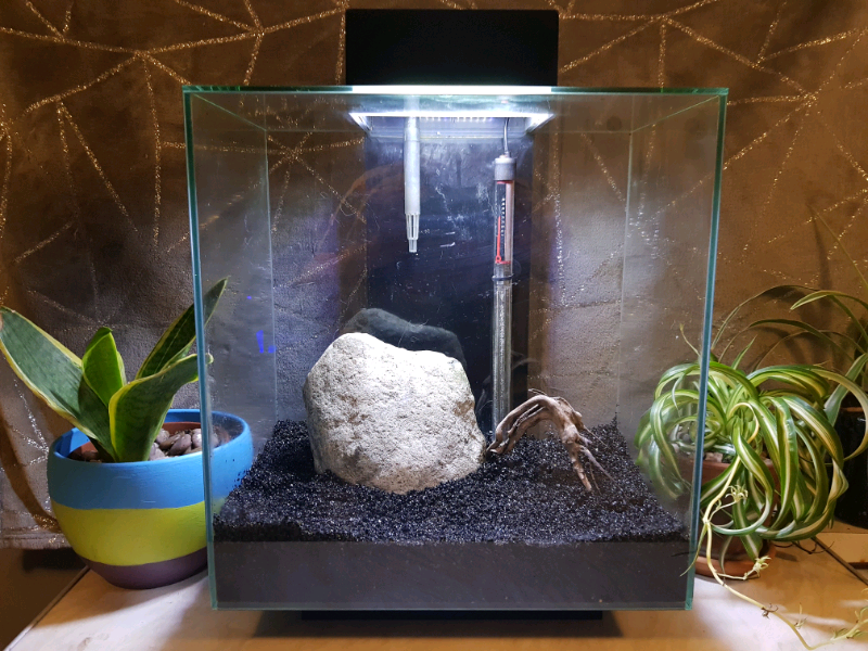 Black Fluval Edge 46L Aquarium in Telford, Shropshire