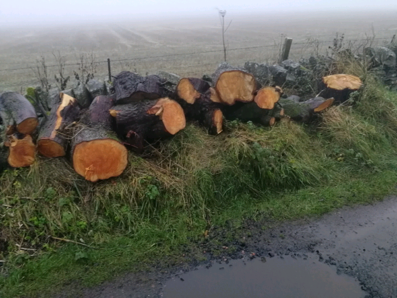 Softwood firewood for sale. in Angus Gumtree