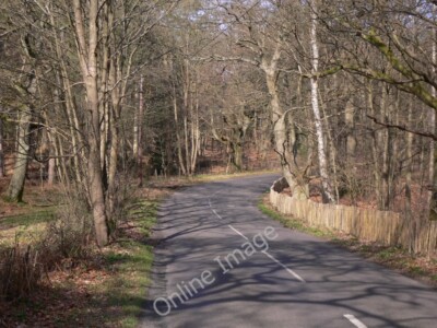 Photo 6x4 Bend on Elstead Road Seale  c2011