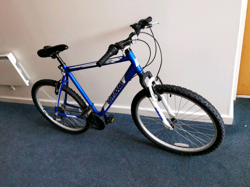 barracuda delphinus bike review