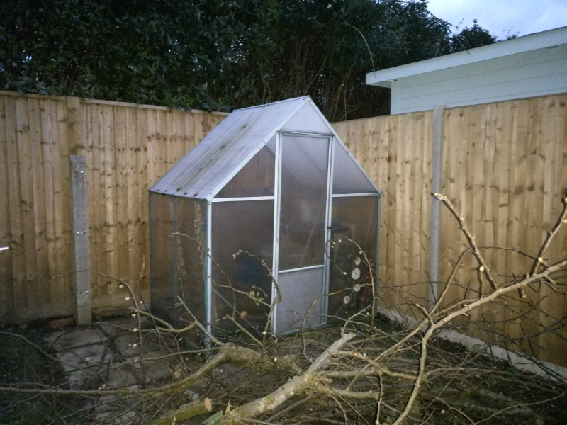 Greenhouse approx 120 x180cm (6x4ft) in Bournemouth 