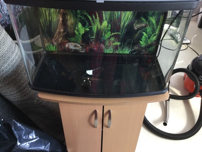 2ft fish tank for sale with stand in Stechford, West Midlands Gumtree