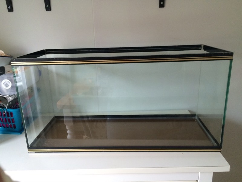 Glass tank/ fish tank/ gerbilarium in Exeter, Devon Gumtree
