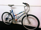 Saxon Mountain Bike Bicycle Great Condition! New Tyres! After Service!