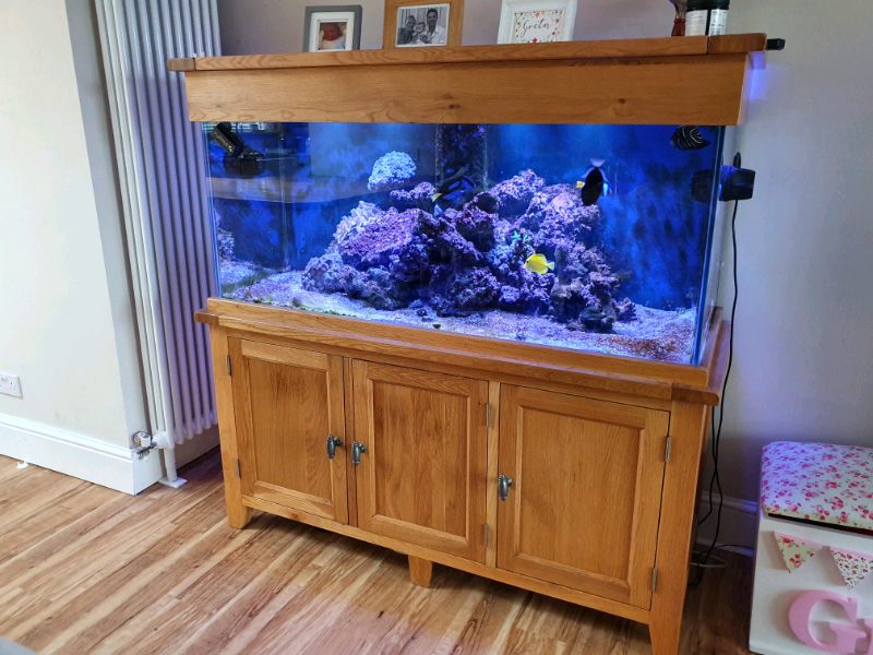 Solid Oak Aquarium Fish Tank in Pontypridd, Rhondda Cynon Taf Gumtree