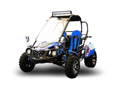 2019 Trailmaster Blazer 150X Green