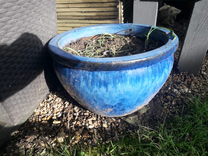 Large blue plant pot in Stoke Gifford, Bristol Gumtree