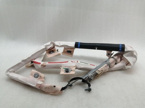 TESLA MODEL S 70 Roof Curtain Module Right 1005262-00-D Dach Modul Rechts