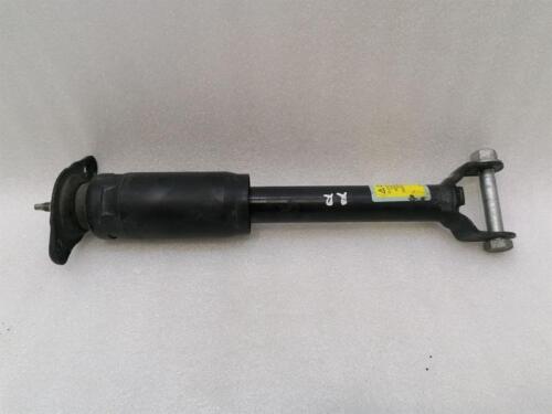 CHEVROLET CORVETTE C6 Shock Absorber Rear 10302877 Stossdämpfer Hinten