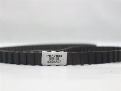 Timing Belt 30 Days Warranty Expedited Shipping