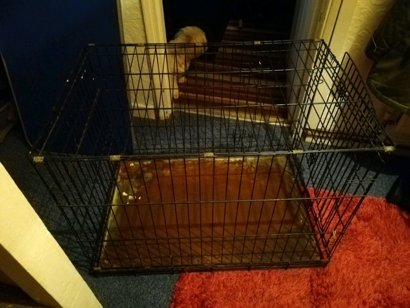 Free dog cage in Swallownest, South Yorkshire Gumtree