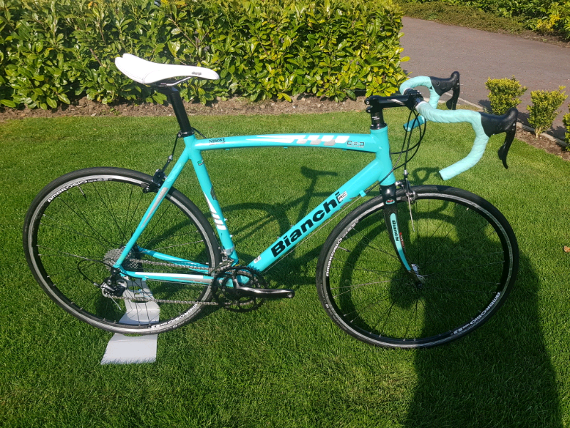 echelon sport review