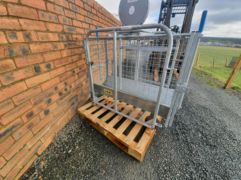 Sheep Scales for sale in UK 63 used Sheep Scales