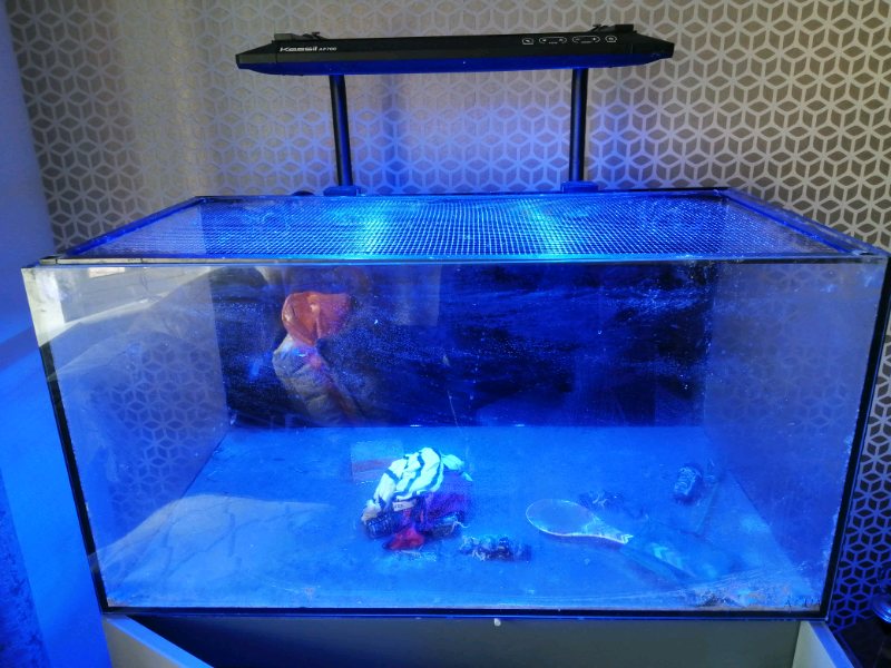 Kessil AP700 marine saltwater aquarium LED light unit + mounting arms