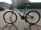 Gradient Bike - Great Value - Fully Working - £45
