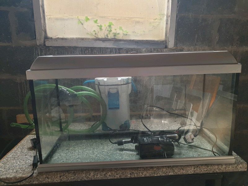 Elite fish tank in WestonsuperMare, Somerset Gumtree