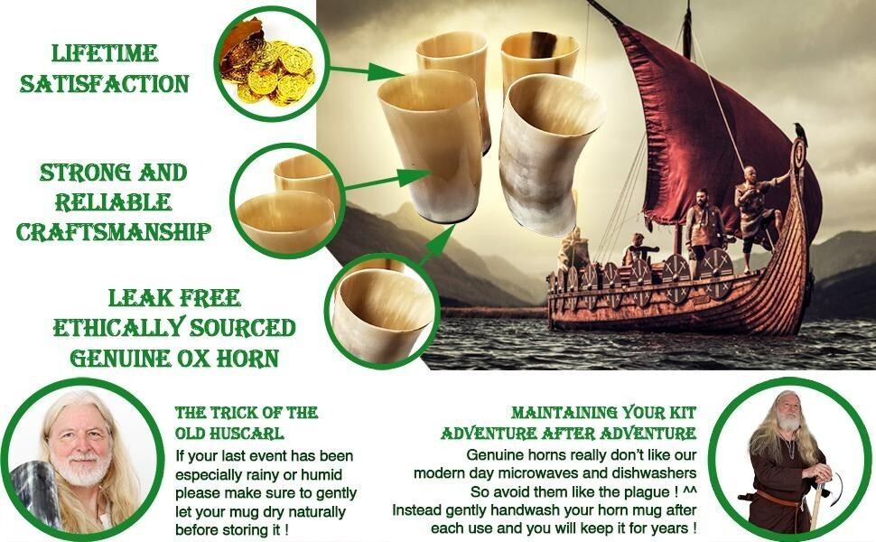 Viking Drinking Horn Shot Glasses Ale Beer Vodka Whiskey Drinkware Set of 4