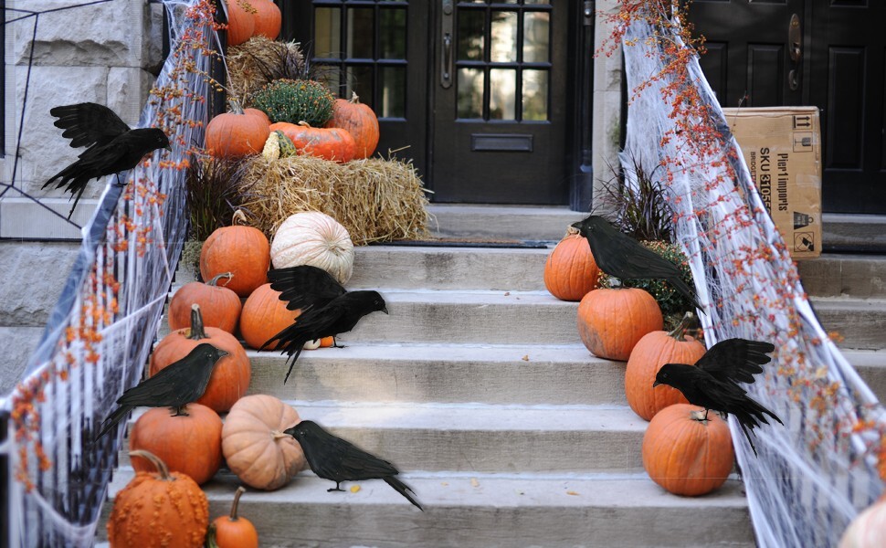 5Pack Halloween Crow Decorations Handmade Realistic Black Feathered Lifesize Fly