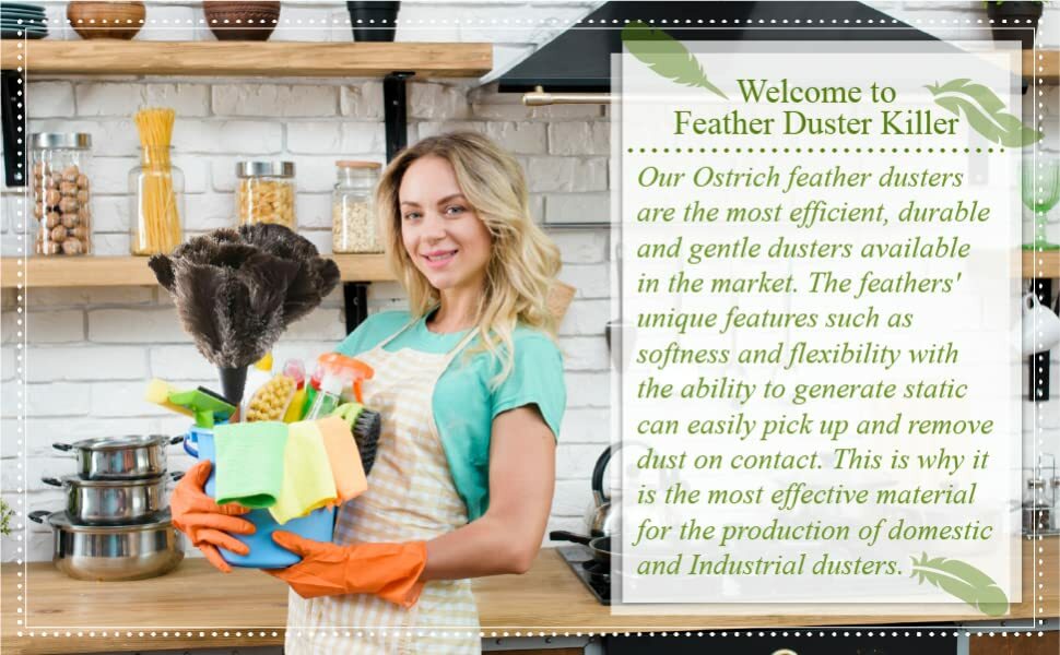 Retractable Ostrich Feather Duster 12" to 16"